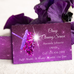 Carte De Visite Services de nettoyage classique Parties scintillan