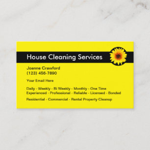 Carte De Visite Services de nettoyage double face professionnels e