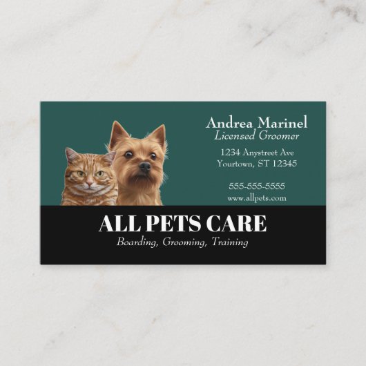 Carte De Visite Services de soins pour chiens et chats (Devant)