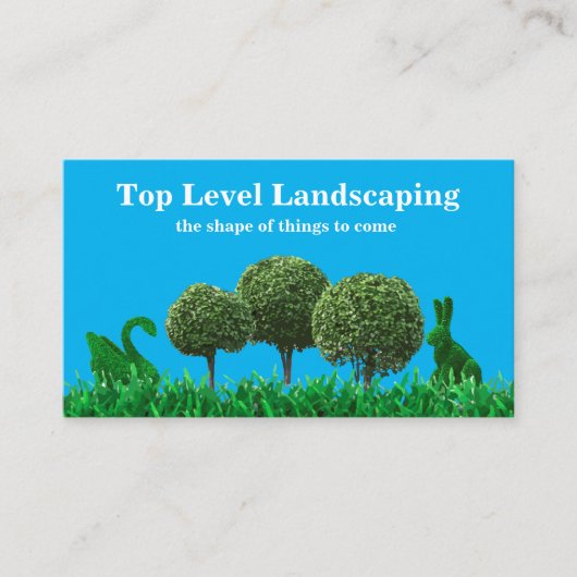 Carte De Visite Services topographiques (Devant)