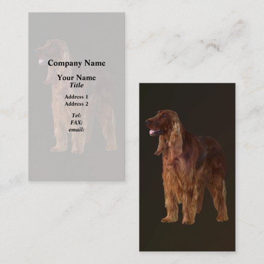 Carte De Visite Setter irlandais (Devant / Derrière)