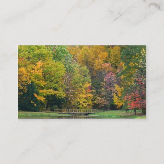 Carte De Visite Seven Springs Fall Bridge II Autumn Paysage (Dos)