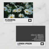 Carte De Visite Shasta Daisies (Devant / Derrière)