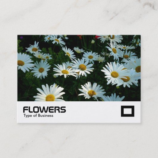 Carte De Visite Shasta Daisies (Devant)