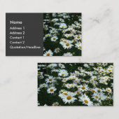 Carte De Visite Shasta Daisies (Devant / Derrière)