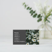 Carte De Visite Shasta Daisies (Debout devant)
