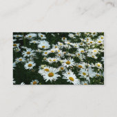 Carte De Visite Shasta Daisies (Dos)