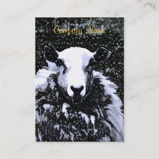 CARTE DE VISITE SHEEP (Devant)