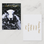 CARTE DE VISITE SHEEP (Devant / Derrière)