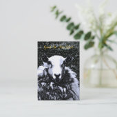 CARTE DE VISITE SHEEP (Debout devant)