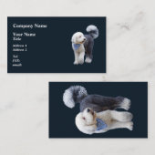 Carte De Visite Sheepadoodle avec écharpe à carreaux bleus (Devant / Derrière)