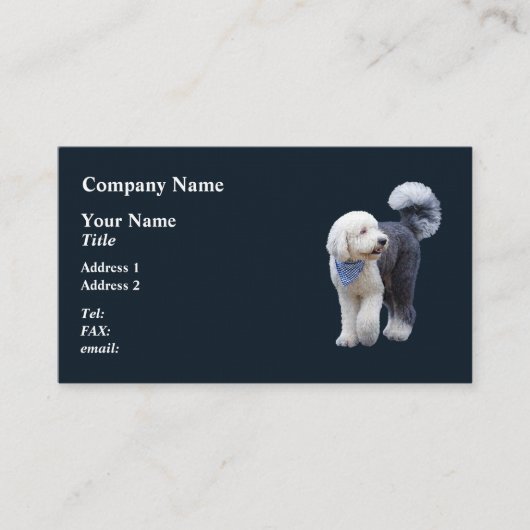 Carte De Visite Sheepadoodle avec écharpe à carreaux bleus (Devant)
