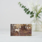 Carte De Visite Si vous croyez (Debout devant)