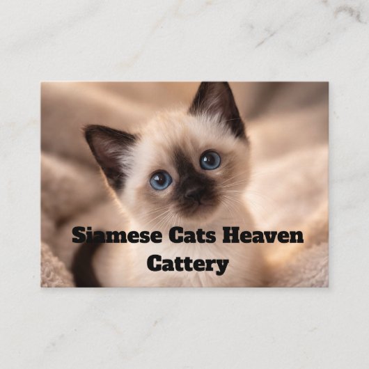Carte De Visite Siamese Cats Heaven Cattery Customizable Business  (Devant)