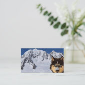 Carte de visite sibérien Husky (Debout devant)