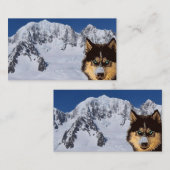 Carte de visite sibérien Husky (Devant / Derrière)