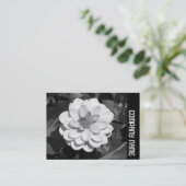 Carte De Visite Side Band - Dahlia 'David Howard' (Debout devant)