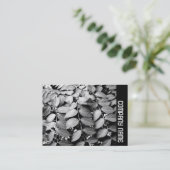 Carte De Visite Side Band - Feuille (Debout devant)