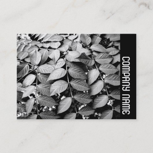 Carte De Visite Side Band - Feuille (Devant)