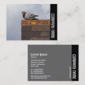 Carte De Visite Side Band - Good Morning Pigeon (Devant / Derrière)