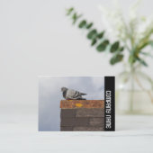 Carte De Visite Side Band - Good Morning Pigeon (Debout devant)