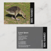 Carte De Visite Side Band - Gosling (Devant / Derrière)