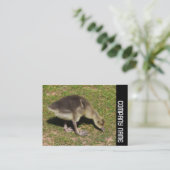 Carte De Visite Side Band - Gosling (Debout devant)
