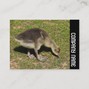 Carte De Visite Side Band - Gosling