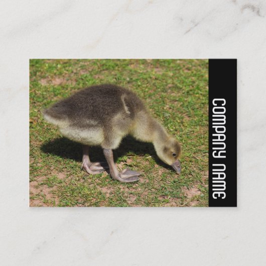 Carte De Visite Side Band - Gosling (Devant)
