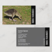 Carte De Visite Side Band - Gosling (Devant / Derrière)