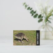 Carte De Visite Side Band - Gosling (Debout devant)