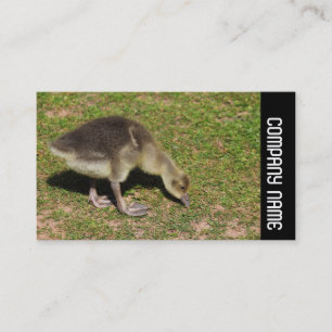 Carte De Visite Side Band - Gosling