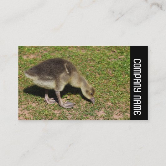 Carte De Visite Side Band - Gosling (Devant)