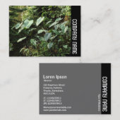 Carte De Visite Side Band - Jardins botaniques (Devant / Derrière)