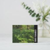 Carte De Visite Side Band - Spring in the Woods (Debout devant)