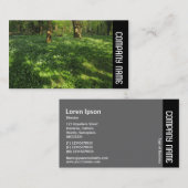 Carte De Visite Side Band - Spring in the Woods (Devant / Derrière)