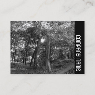 Carte De Visite Side Band - Summer in the Woods