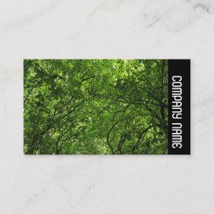 Carte De Visite Side Band - Woodland Canopy