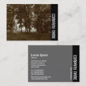 Carte De Visite Side Band - Woods, Bute Park Cardiff - Sepia tonif (Devant / Derrière)