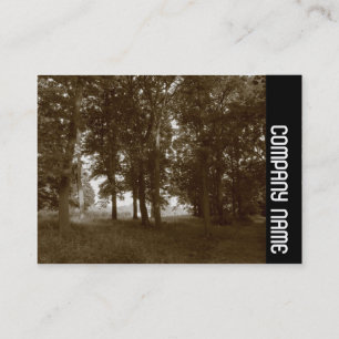 Carte De Visite Side Band - Woods, Bute Park Cardiff - Sepia tonif