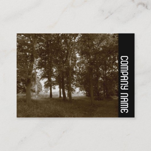 Carte De Visite Side Band - Woods, Bute Park Cardiff - Sepia tonif (Devant)