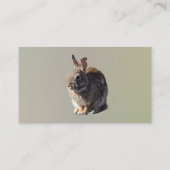 Carte De Visite Siège de lapin (Dos)