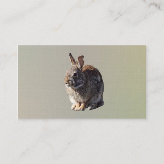 Carte De Visite Siège de lapin (Dos)