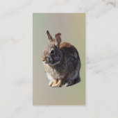 Carte De Visite Siège de lapin (Dos)