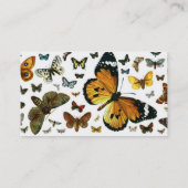 Carte De Visite Signet ancien d'image de papillons colorés (Dos)