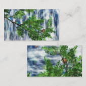 Carte De Visite Signets de Birdsnest Falls (Devant / Derrière)