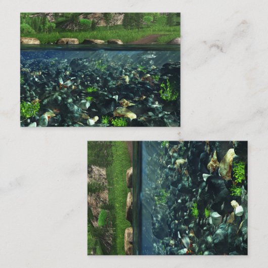 Carte De Visite Signets de Cwn River (Devant / Derrière)