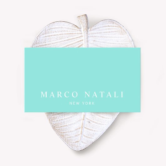 Carte De Visite Simple Elegant Turquoise Professional