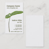 Carte De Visite Simplicité l feuille verte simple de nature (Devant / Derrière)