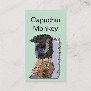 Carte De Visite Singe capucin primate faune